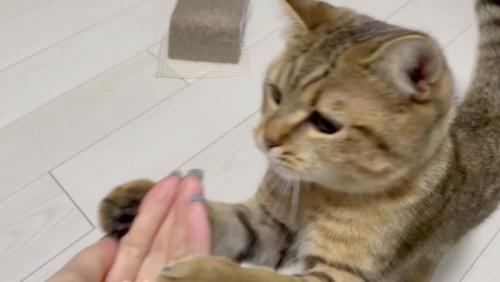 おやつをみつけたみにらくん