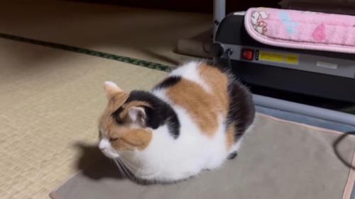 斜め上から