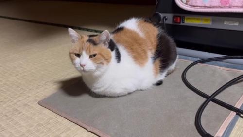 斜めから