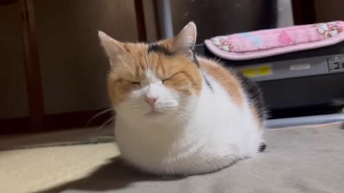 正面