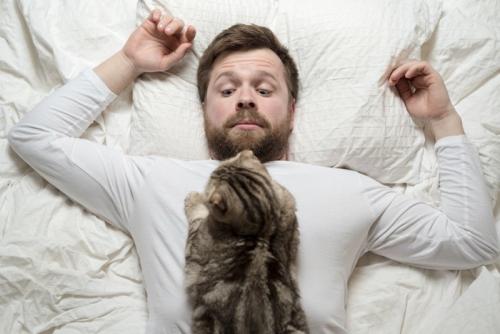 寝ている男性の胸の上に乗る猫