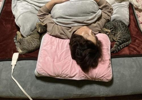 布団で寝る飼い主と猫