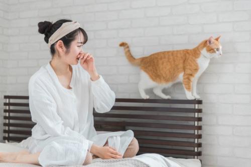 猫のにおいが苦手そうな女性