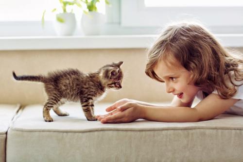 女の子と子猫