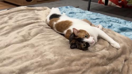 右寄り