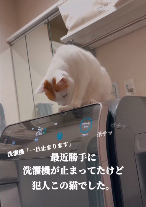洗濯機が停止