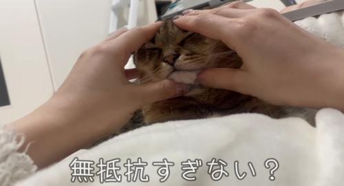 顔むにゅされても無抵抗なみにらくん
