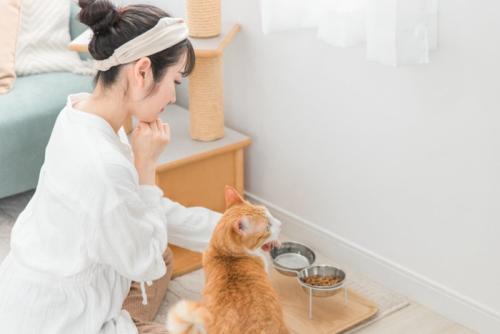 猫に餌をあげる女性