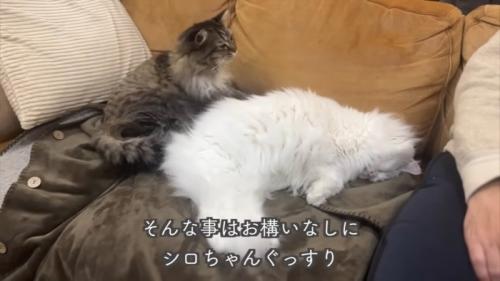 テロップ「そんな事はお構いなしに～」