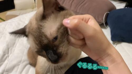 ぐるるる…