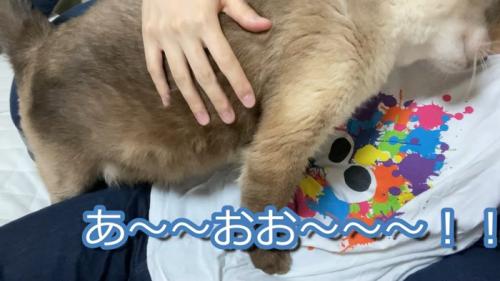 あ〜〜おお〜〜〜！！