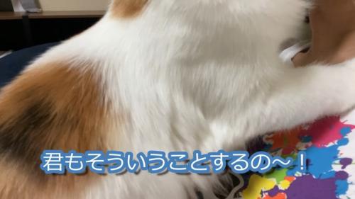 君もそういうことするの〜！