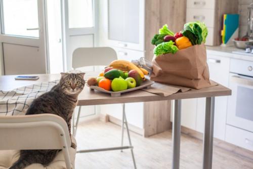 振り返る猫と野菜