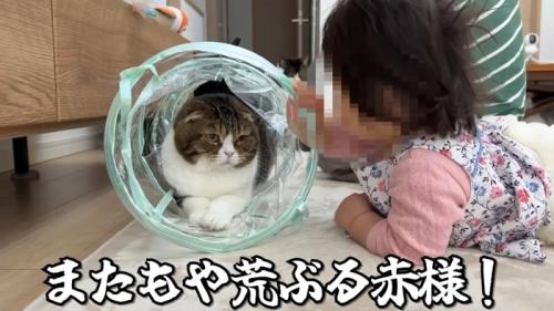 またもや荒ぶる赤様！