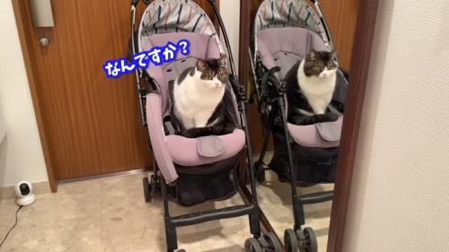 なんですか？