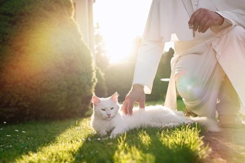 猫を撫でる聖職者