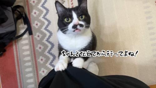 ちゃんと伝えてから