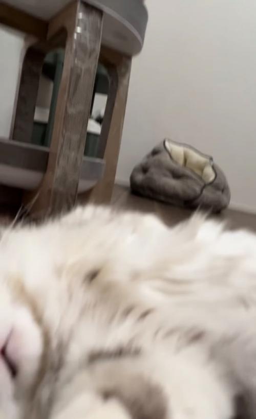 振り向く