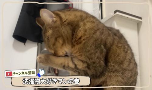 顔を洗うみにらくん