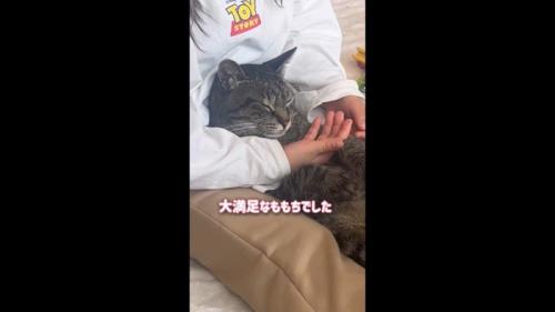 大満足