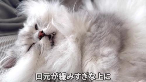 すごいお顔のモルンさん 