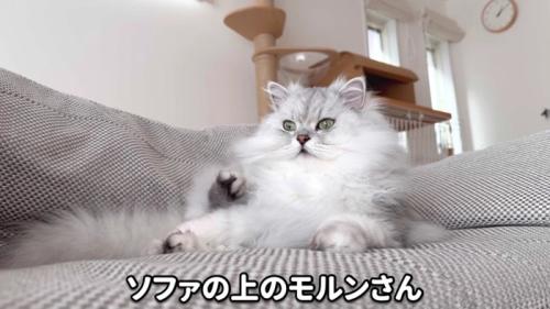 ソファに座るモルンさん