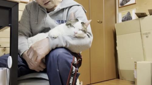 膝の上でくつろぐ猫の写真10