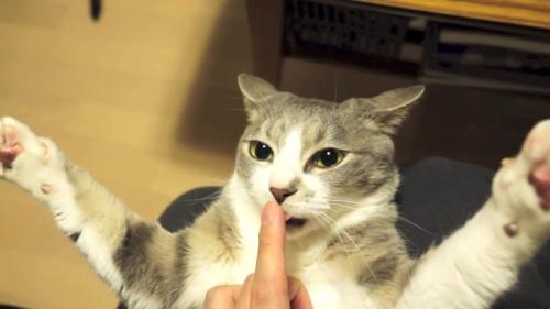 指を舐めて
