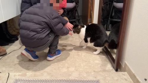 はじめましてのお兄ちゃん
