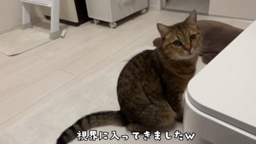 視界に入るみにらくん