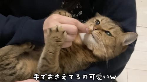 おやつを食べるみにらくん