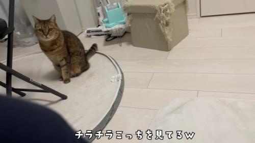 チラチラ見るみにらくん