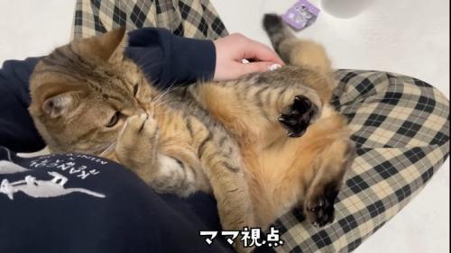 ママさん視点