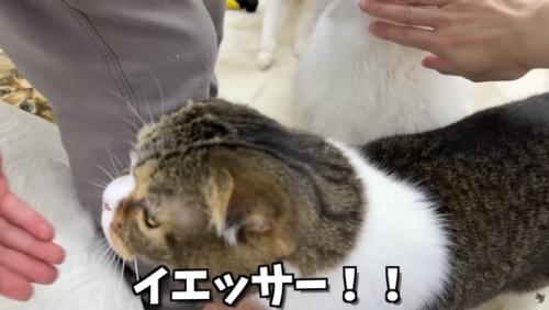 見事作戦成功