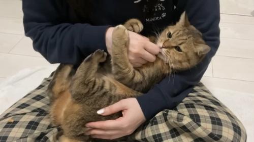 再びおやつを食べるみにらくん