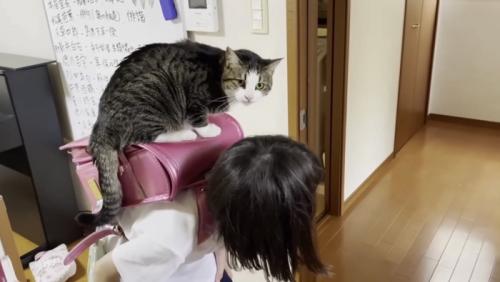 ランドセルの上にのるおでこちゃん
