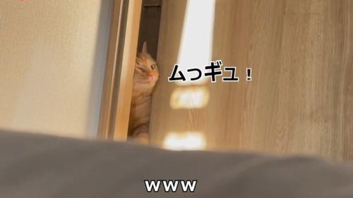 ムっギュ！