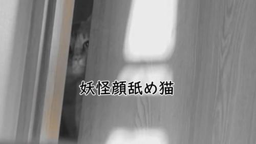 妖怪顔舐め猫