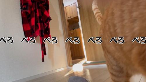 ぺろ…