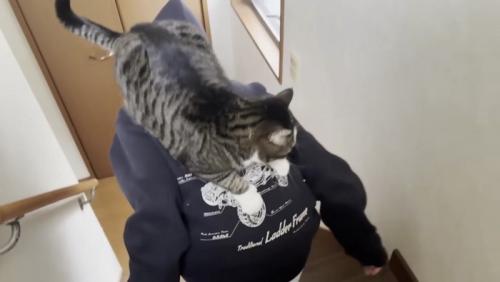階段をおりていく娘さん