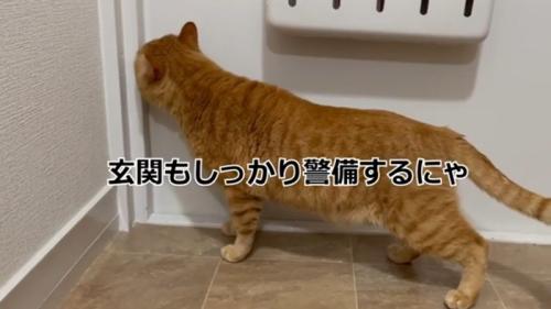 玄関扉前