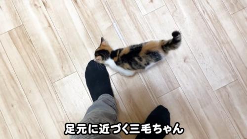 テロップ「足元に近づく~」