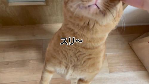 スリ〜