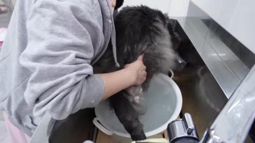 後ろ姿