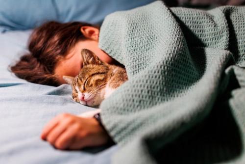 一緒に寝る女性と猫