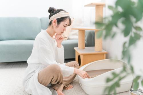 トイレ掃除する女性