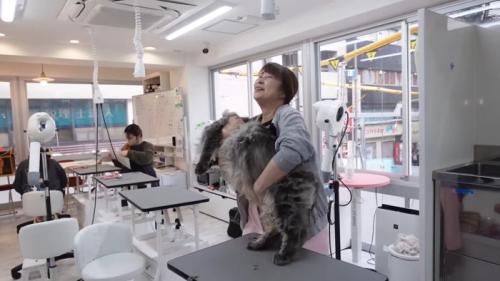 持ち上げた姿
