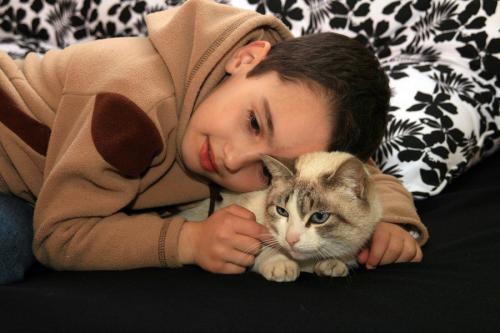 猫に顔を寄せる少年