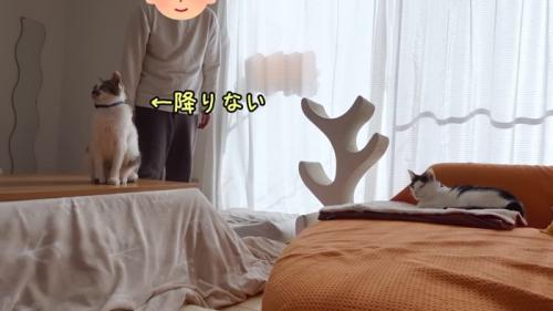 降りない