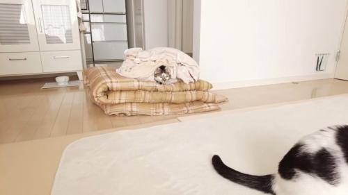 シーツに包まれた姿